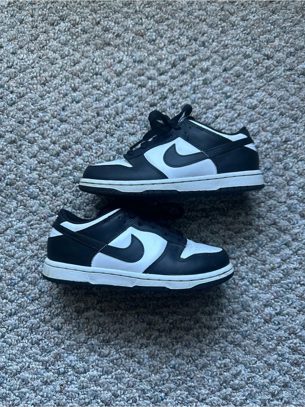 Kids Low Top Nike Dunks